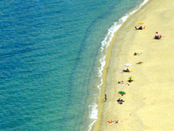 mare